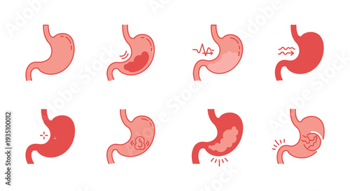 Illustrative depictions of human stomachs in various stages showcasing digestive processes and ailments silhouette high quality professional detailed modern elegant stylish