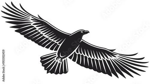 Flying bird silhouette with spread wings on white background vector graphic