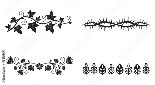 A collection of black and white decorative borders featuring elegant floral designs, thorny branches, and stylized leaves, perfect for graphic design projects.