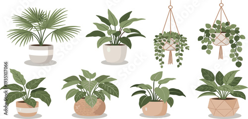 Collection of Indoor Potted Houseplants and Hanging Plants Vector Illustrations for Home Decor, Botanical Design, Gardening Themes, and Modern Interior Decoration Projects
