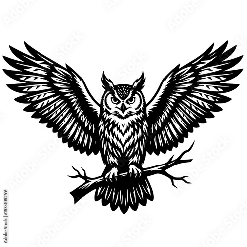 Silhouette of a wild owl