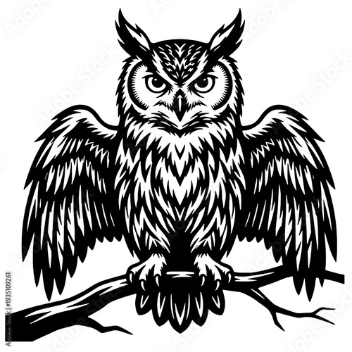 Silhouette of a wild owl