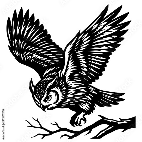 Silhouette of a wild owl