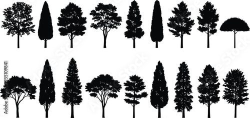 Tree silhouettes collection, forest and garden tree icon set, natural woodland plants isolated, black botanical landscape elements vector illustration