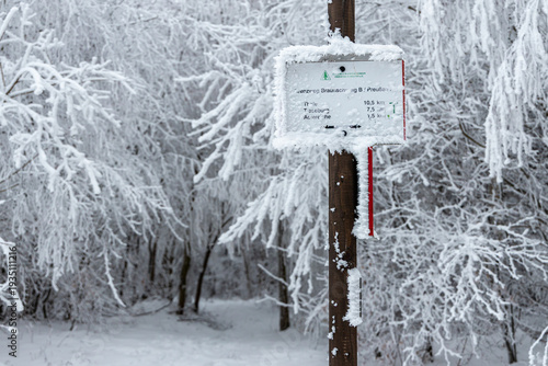 Winterwald wandern im Winter Harz