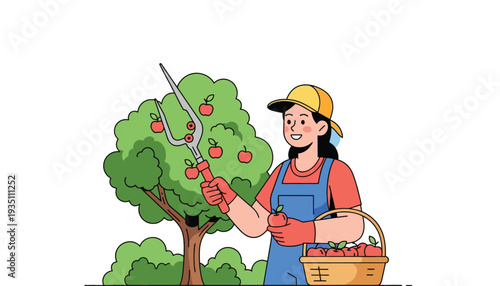 Farmer picking apples from tree with basket full of fruit