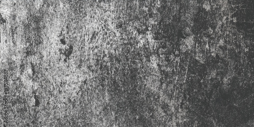 A grayscale close up reveals the deeply wall textured surface of a tree trunk showing weathered bark and natural patterns