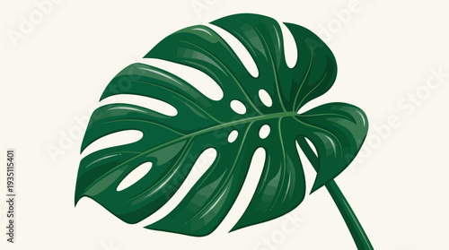 Single tropical monstera deliciosa leaf on a white background minimalist vector art