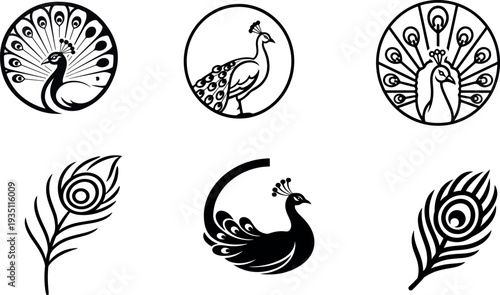 Minimalist black and white peacock feather vector icon design.