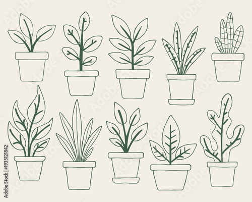 Hand drawn houseplant doodle set in minimal line art style. Cute potted indoor plant collection isolated on neutral background for home decor, nursery poster, sticker and printable design.