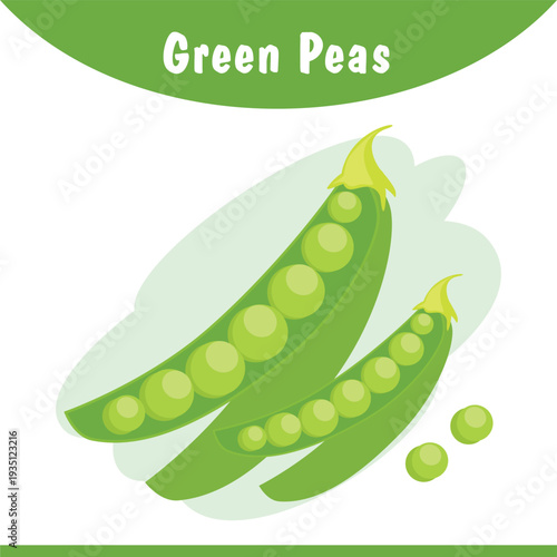 Set of two green peas, organic vegetable using kids page, fresh green peas clipart isolated with cartoon flat style illustrated design.
