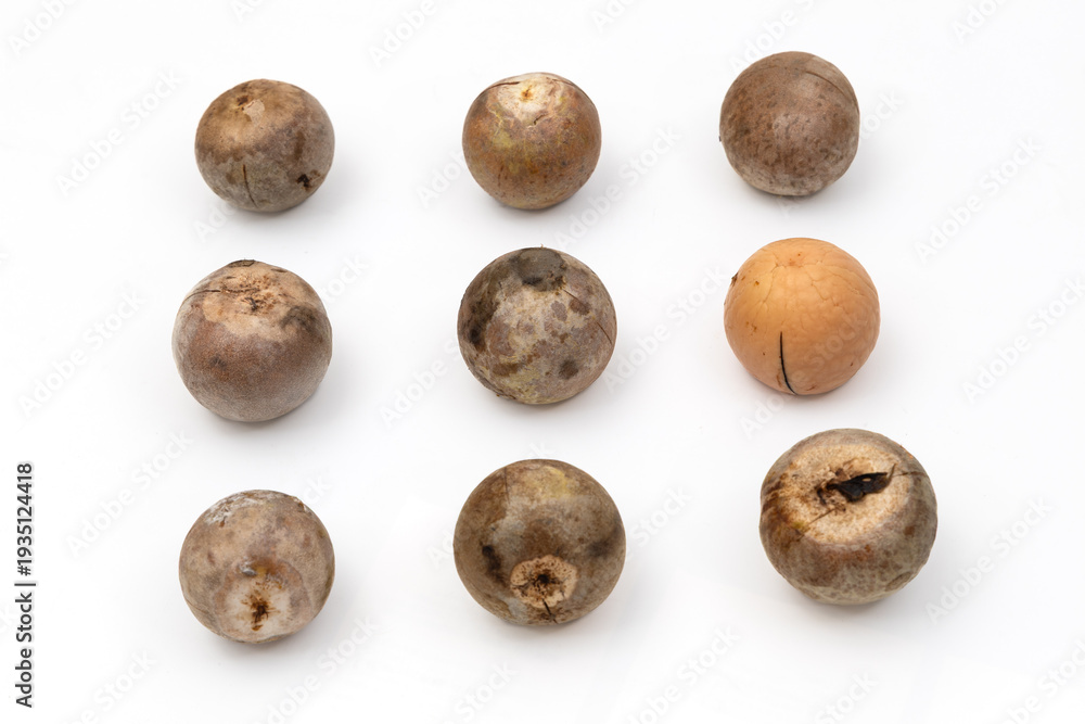 Fototapeta premium Nine Avocado Seeds Isolated on White Background, Top View Flat Lay of Brown Natural Pits with Unique Textures and Shapes, Minimal Food Concept with Clean Studio Lighting and Selective Focus