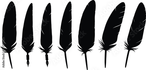 Collection of seven black feathers on white background