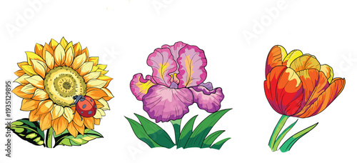 Various kinds of flowers, leaves and an insect.eps