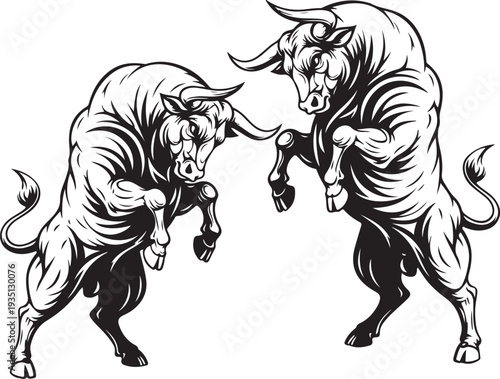 A traditional bullfight has two bulls vector art silhouette