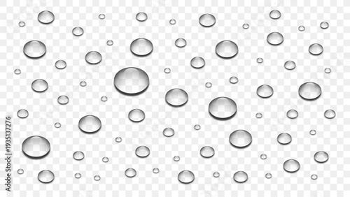 Realistic transparent water drops vector illustration on isolated background. Clear liquid water drops splash on surface top view fresh wet spray bubble. Clean water drops on transparent backdrop.