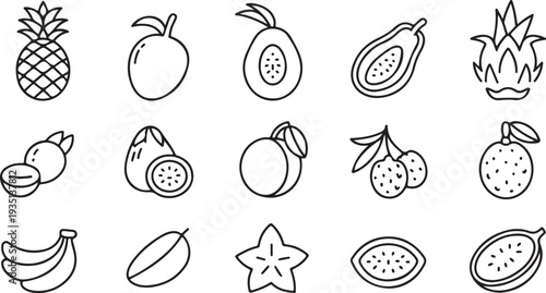 A collection of various tropical fruit icons in black line art on white background