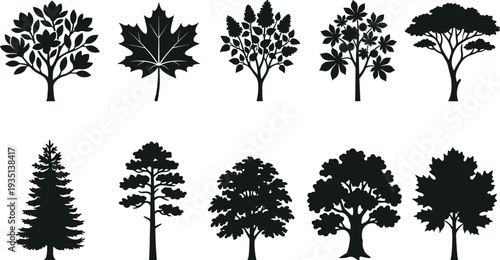 Black tree silhouettes oak bare branches lush foliage full canopy vector illustration nature minimalist set three