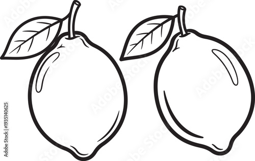 Two lemons with leaves and stems in outline