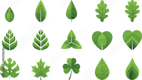 Green leaf collection with various nature foliage shapes botanical plant elements isolated vector illustration set for eco design.