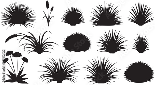 Set of 13 Black Grass and Bush Silhouettes Vector