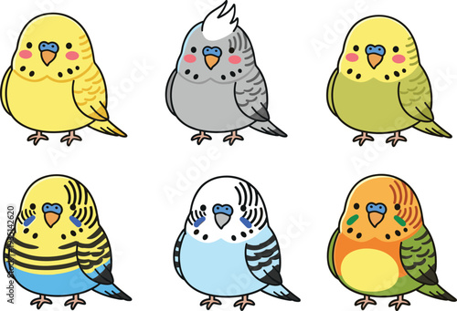 Set of Cute Budgie Birds in Various Colors and Patterns for Animal and Pet Illustrations