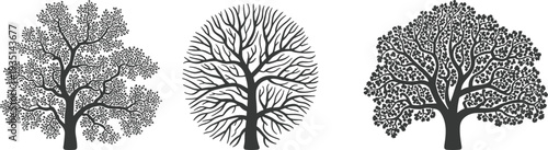 Set of three black tree silhouettes including dense foliage oak, intricate bare branches, and lush full canopy vector illustration