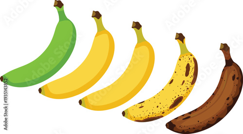 Illustration of Bananas in Different Stages of Ripeness, from Green to Brown, Showing the Natural Ripening Process
