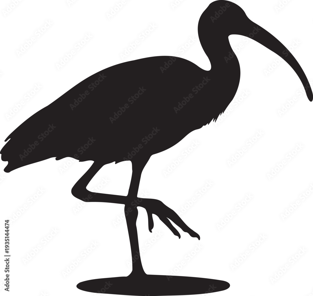 Fototapeta premium Elegant Black Ibis Bird Silhouette Vector Illustration Standing on One Leg, Ideal for Nature, Wildlife, or Logo Design Projects