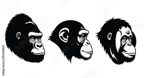 Three monkey heads in profile with different expressions and hair textures, Generative AI.