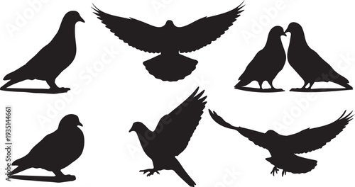Set of 7 black pigeon and dove bird silhouettes vector illustrations, depicting various poses like standing, flying, and perching, ideal for graphic design, logos, and nature-themed projects.