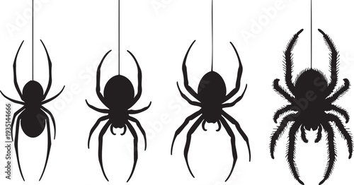 Set of 4 Black Spider Silhouettes Hanging on Web Threads Vector Illustration for Halloween Decorations and Spooky Designs