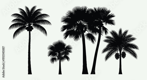 Silhouette of various palm trees against a plain light background, Generative AI.