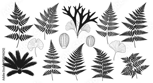 Collection of various fern leaves and foliage in black and white, Generative AI.