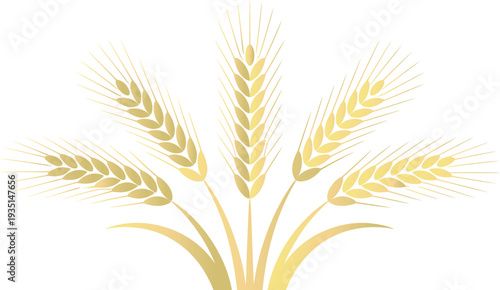 Golden wheat ears vector illustration of five stalks arranged in a radial fan shape representing harvest agriculture and organic farming.