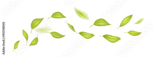 Flying Green Leaves with Motion Blur Isolated Vector Composition