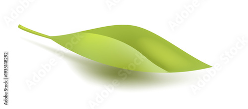 Realistic green leaf floating with soft shadow. Clean 3D vector illustration isolated on white background for eco branding, tea packaging and natural product design.
