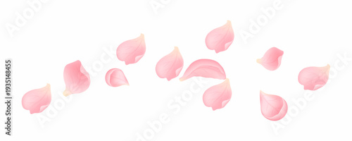 Realistic pink sakura petals with soft gradients isolated on white background. Spring floral vector set for wedding design, romantic branding and seasonal decoration