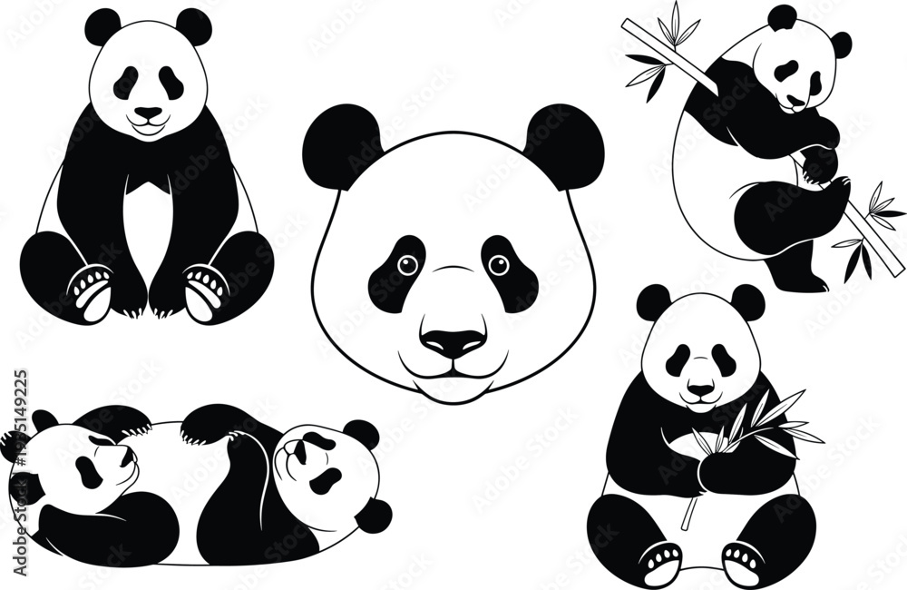 Obraz premium Black and white panda bear character set with bamboo eating sitting sleeping and face illustration cute wildlife animal vector collection.