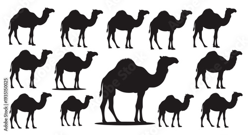 A striking illustration of a herd of camels, with one prominently larger than the others, set against a clean white background, perfect for desert or travel themes