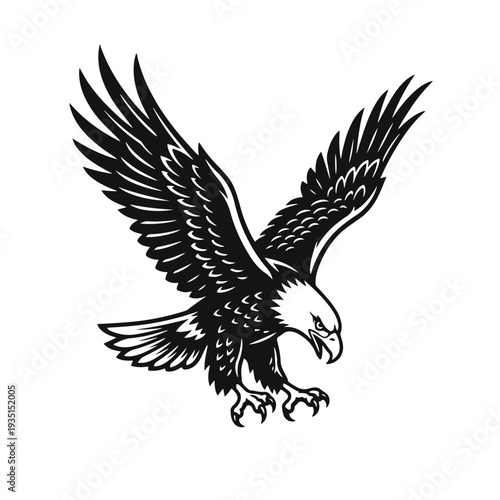 A bald eagle flying with spread wings on a white background. High-quality vector illustration of an aggressive bird of prey