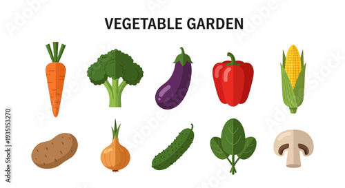 An illustration featuring ten distinct vegetables arranged in two rows against a white background