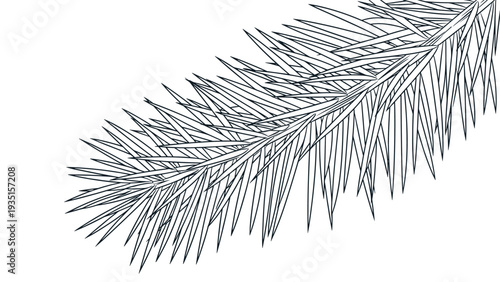 Complex line art illustration of a pine tree branch features numerous sharp needles clustered along the woody stems.