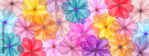 background of colorful bright flowers with transparent petals on a transparent background, long 
