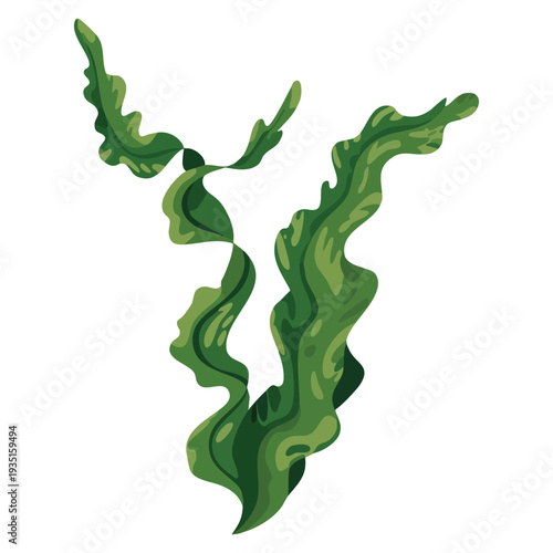 Aquatic seaweed spirulina underwater vector illustration showing detailed marine algae plant concept