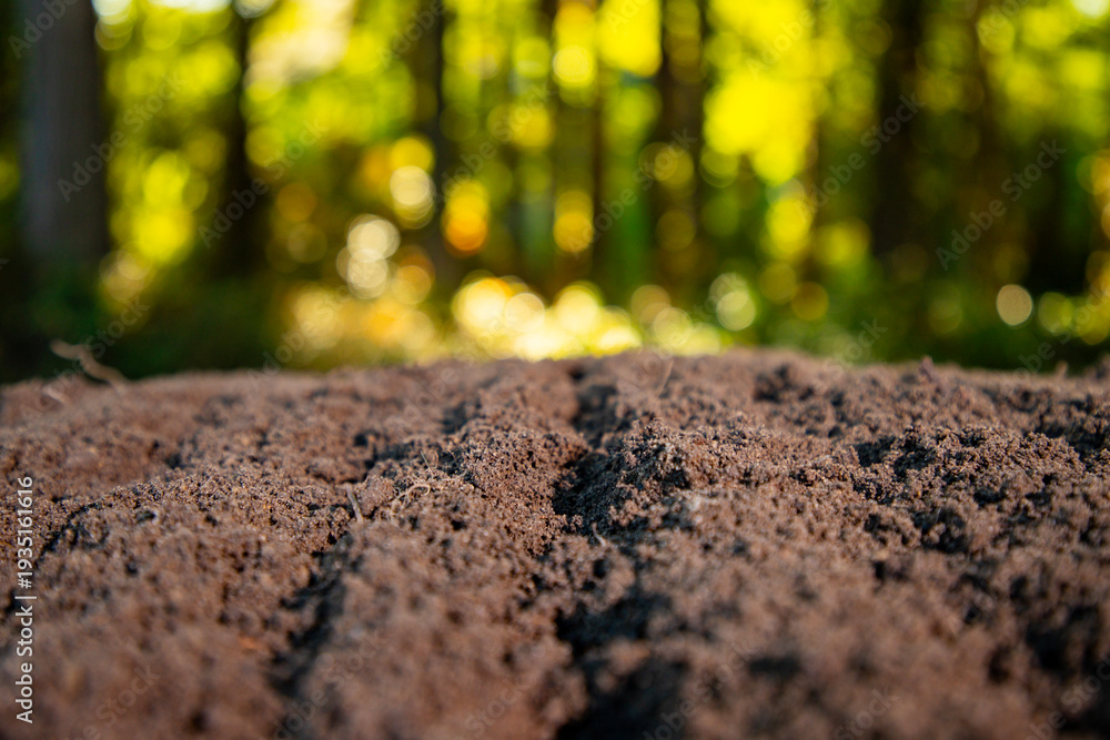 Fototapeta premium Humus and earth ground. Farming concept with soil and farm ground. Agricultural field cultivated land. Soil for planting and farming.