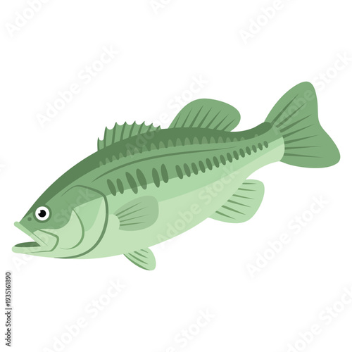 Black bass freshwater fish illustration perfect for angling sport fishing wildlife aquatic nature and outdoor design concepts