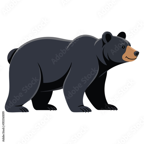 Black bear animal isolated flat vector illustration on white background suitable for wildlife nature forest education and animal themed creative designs