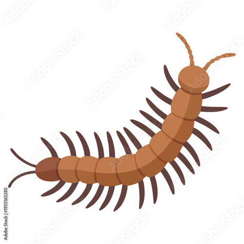 Brown earwig long worm with spikes nasty insect centipede and millipede flat cartoon vector illustration isolated on white
