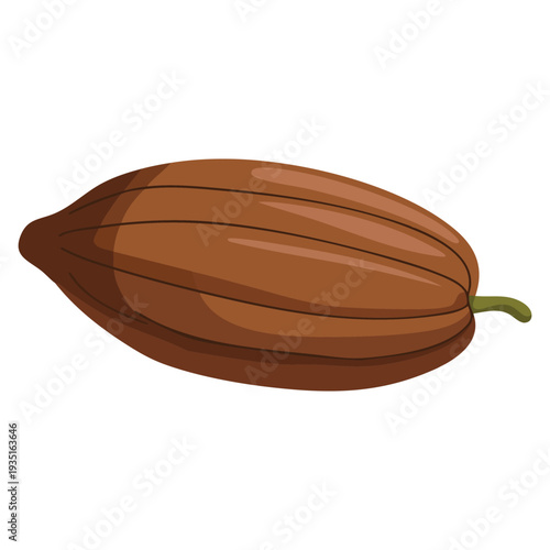 Cacao pod vector isolated illustration tropical plant design perfect for chocolate ingredient concept organic farming branding and natural food themed artwork